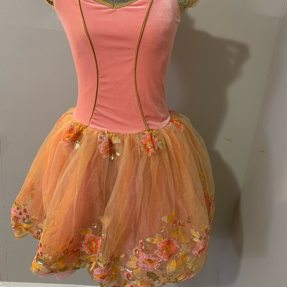 Charming Pink and Orange Dance Costume